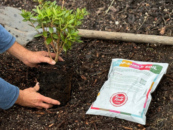 Why Fall is a Better Time to Plant - Rocky Knoll Farm